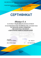 Сертификат Шевчук Хирургический калейдоскоп  заочная олимпиада по иностранному языку